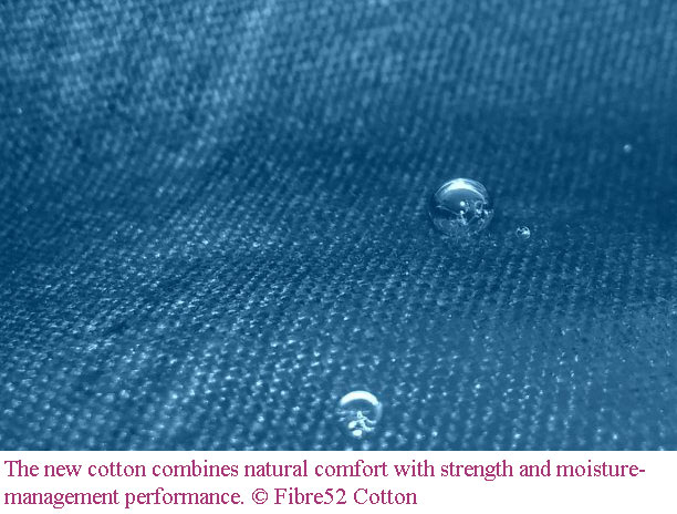 Polyester’s advantages in a cleaner cotton