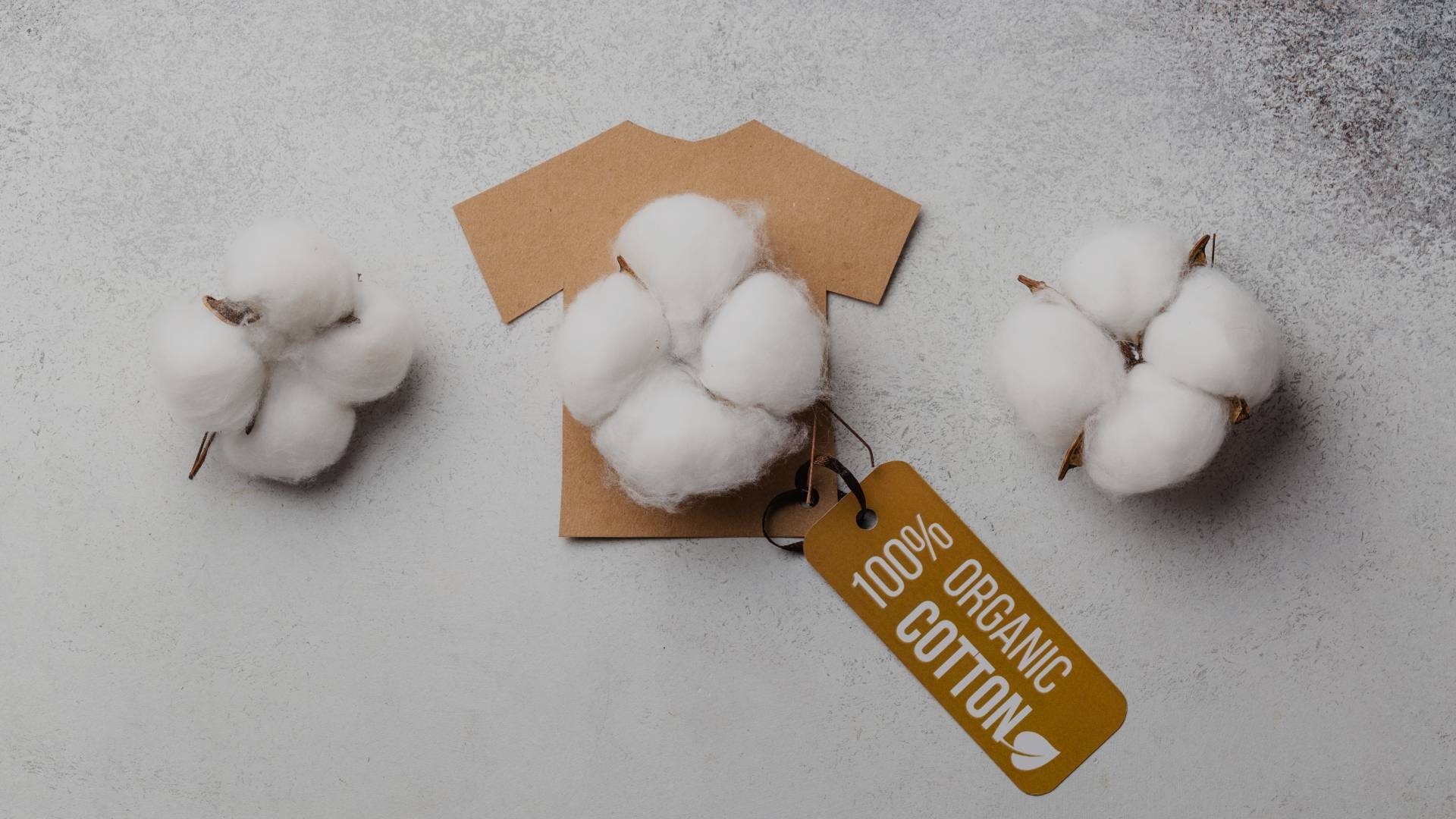 Why the cotton textile industry in India is embracing organic cotton