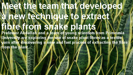 Meet the team that developed a new technique to extract fibre from snake plants
