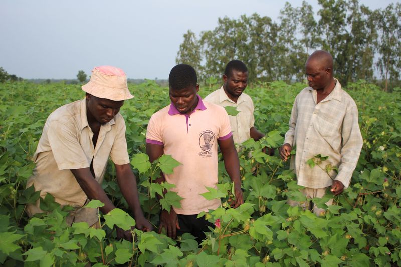 Cotton exporter Benin developing home-grown textile industry