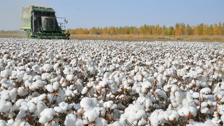 Garments of banned Chinese cotton being supplied to US!