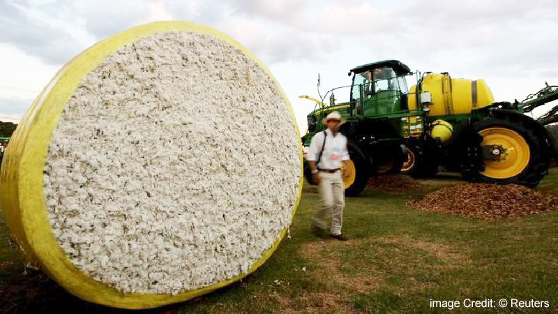 Cotton dropped on profit booking amid demand concerns from the top South Asian buyer