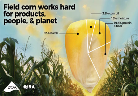 Promise of Regenerative Agriculture to the Future of Fashion