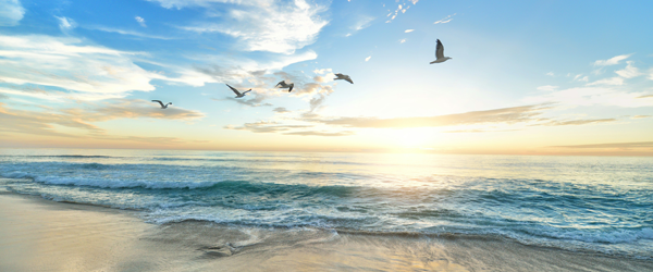 SGS earns EcoVadis Gold Rating and FTSE4Good recognition for  sustainability performance