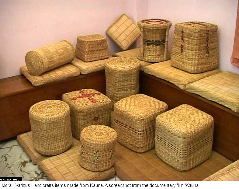 Economic potential of Natural Fibers in Northeast India