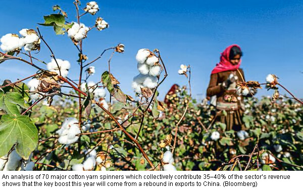Cotton yarn industry set to spin 7–9% revenue growth in FY26 on China export rebound, domestic demand: Crisil