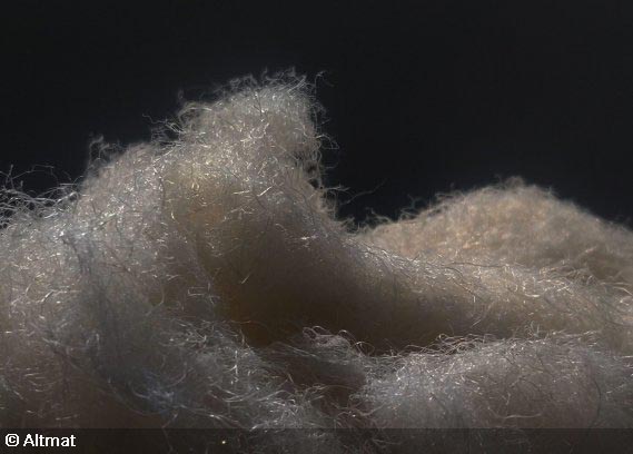 Altag Fibre Club pools resources in India