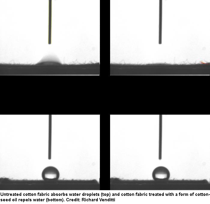 A potential ‘green’ alternative to formaldehyde and PFAS in fabric finishing