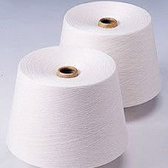 Sky Cotex India Pvt Ltd -Spinning Division