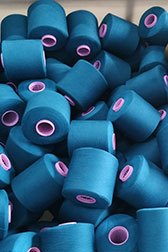 Grasim Industries Limited-Jaya Shree Textiles-Rishra