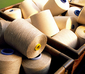 Grasim Industries Limited-Jaya Shree Textiles-Rishra
