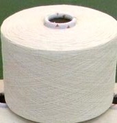 Thiagarajar Mills (P) Ltd.