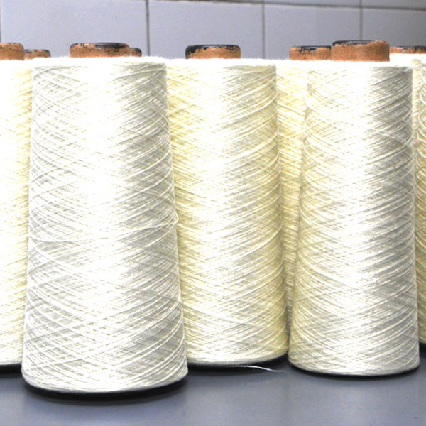 Shiva Tex Fabs Limited
