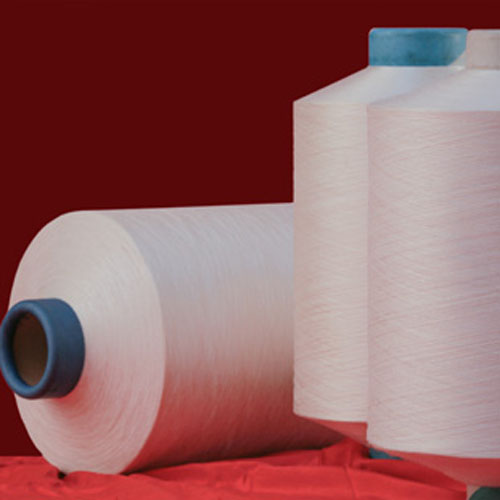 Grasim Industries Limited - Viscose Filament Yarn (VFY) Business - Raysil