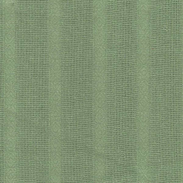V P Tex Private Limited