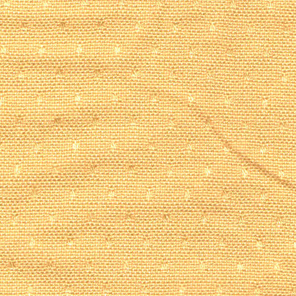 V P Tex Private Limited