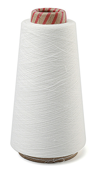 Sky Cotex India Pvt Ltd -Spinning Division