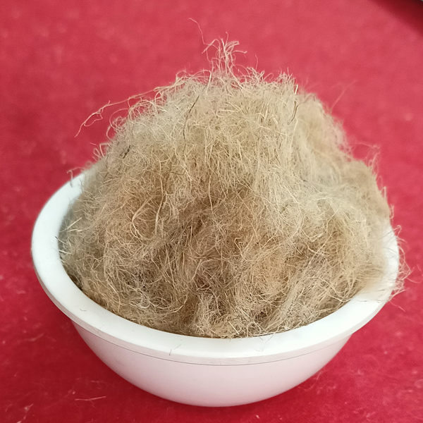 Yajur Fibres Limited (formerly Usha Corp. Ltd)