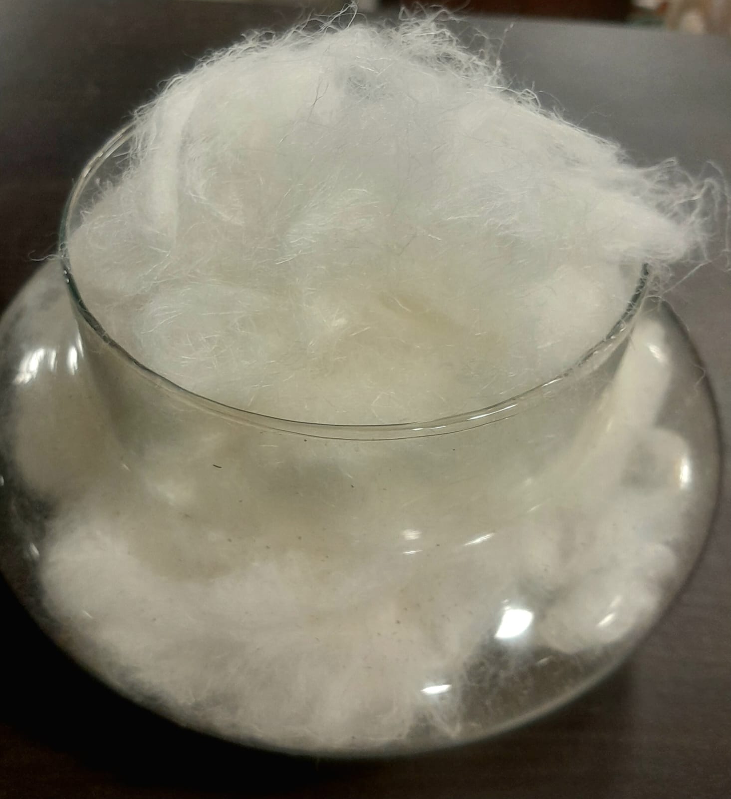 Vote Earth Sustainable Textiles Pvt Ltd